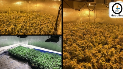 Open Adelanto Garage Leads to the Discovery of Indoor Marijuana Cultivation
