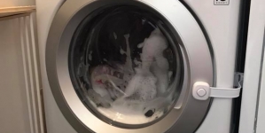 Colorado Mother Warns Parents About Front-Loading Washing Machine Risk