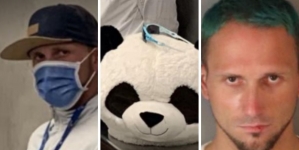 Man Arrested for Drug Dealing After Driving Recklessly While Wearing Panda Head