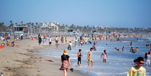 Unsafe Levels of Bacteria Found in Several LA County Beaches